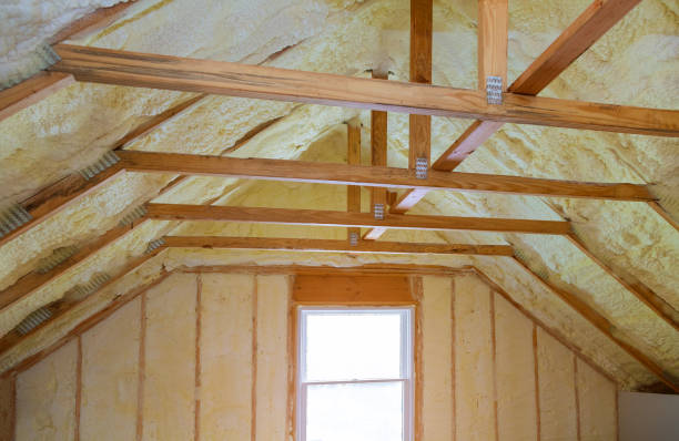 Best Geographic-Specific Insulation Services in Canfield, OH