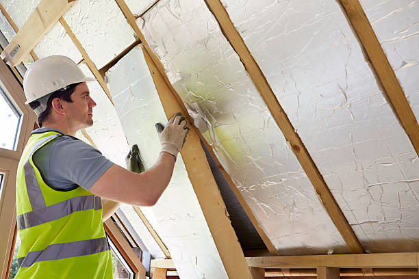 Best Cellulose Insulation in Canfield, OH