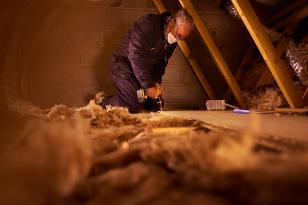 Best Residential Insulation in Canfield, OH